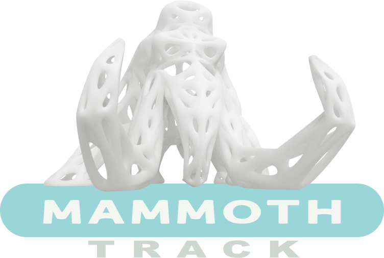 mammoth-track